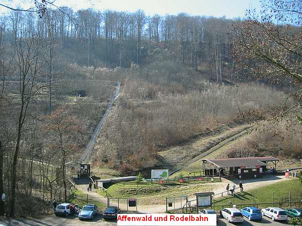 Affenwald und Rodelbahn vom Gasthaus Waldhaus aus