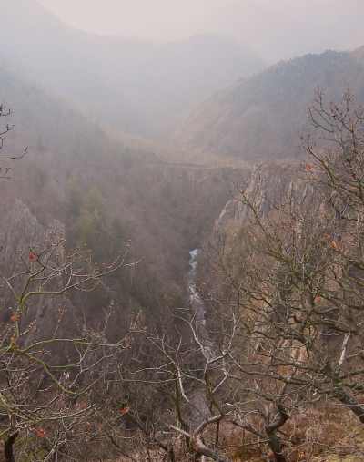 Die Bodeschlucht vor dem Rosstrappenfelsen